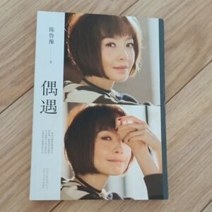 Serendipity or Chance Encounter by Chen Qizhen. 陳綺貞